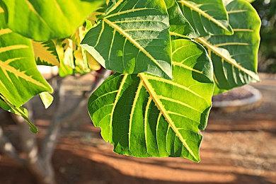 SE对FF7Re销量表示满意 未来不再推出独占游戏